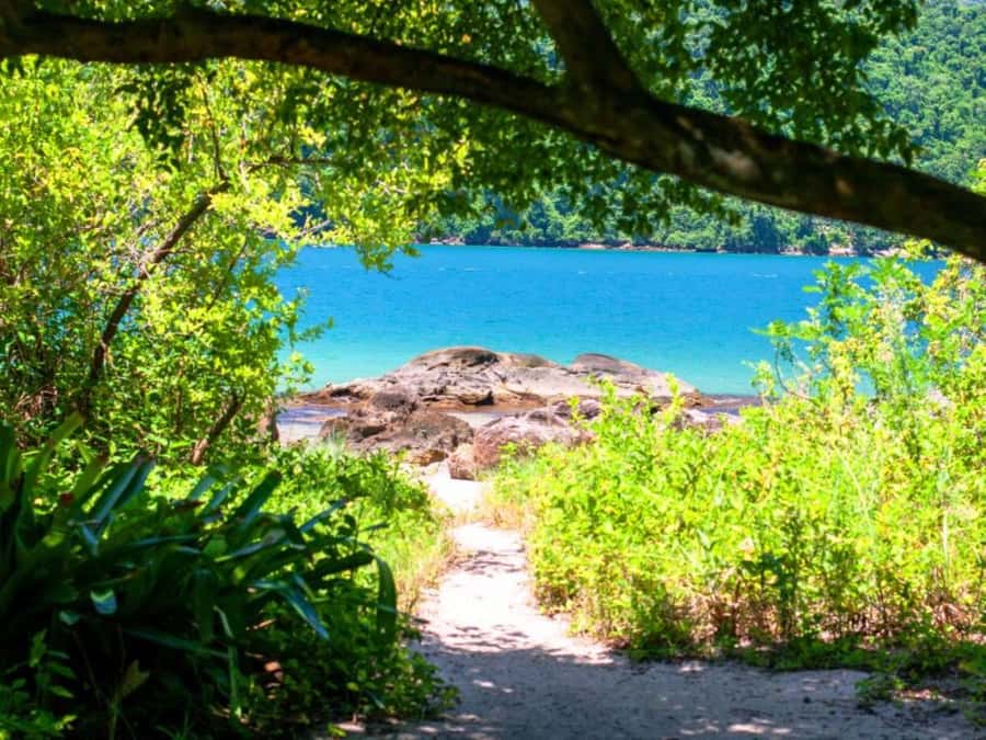 Idyllic Islands Private Speedboat Tour in Paraty - Should you book the Paraty private boat tour?