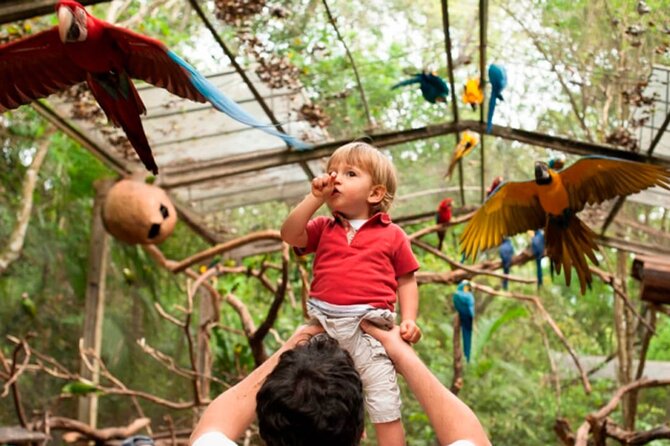 Iguaçu Bird and Waterfall Park - Parque das Aves after the waterfalls