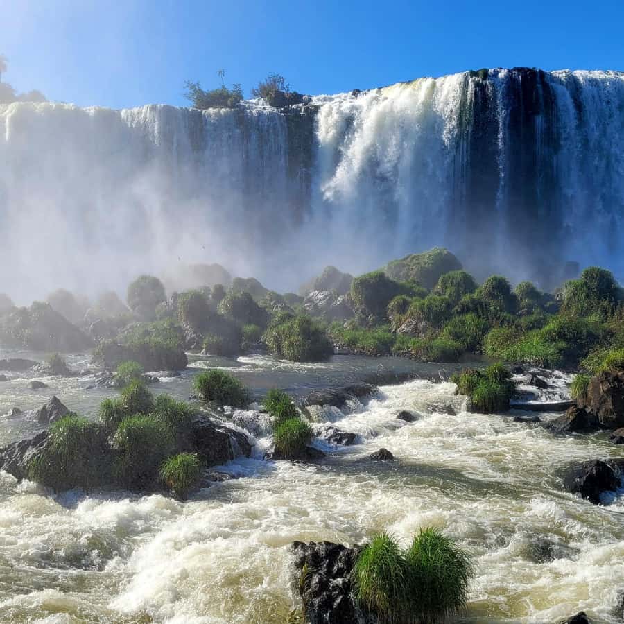 Iguassu Falls: Brazilian Side Private Tour - Guides and the level of personal help