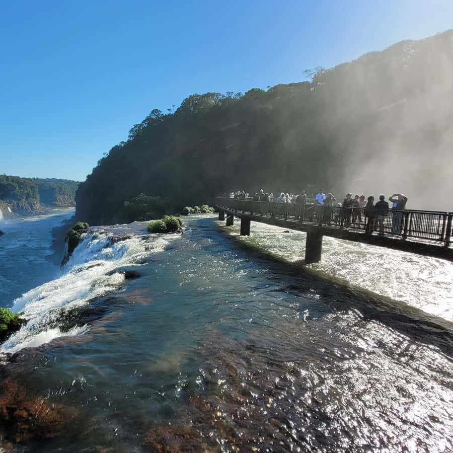 Iguassu Falls: Brazilian Side Private Tour - Macuco Safari: the optional soaking