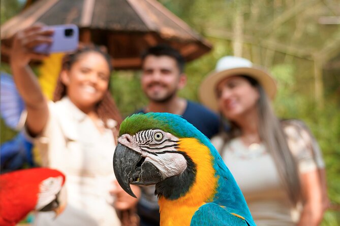 Iguassu Falls - Brazilian Side With Ticket - Macuco Safari: three stages before the boat