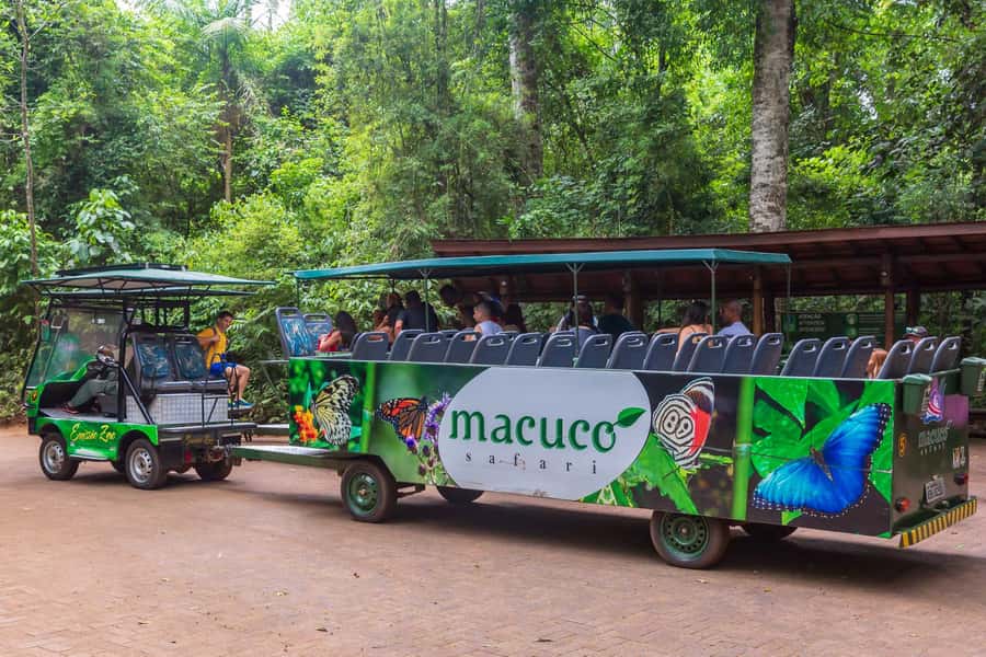 Iguassu Falls: Guided Tour & Macuco Safari on Pontoon Boats - Is the $183 Price Fair?