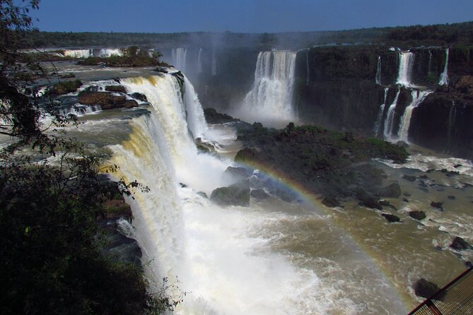 Iguassu Falls on the Brazilian Side: Macuco Safari, Helicopter Flight, Bird Park - Who will enjoy this tour most?