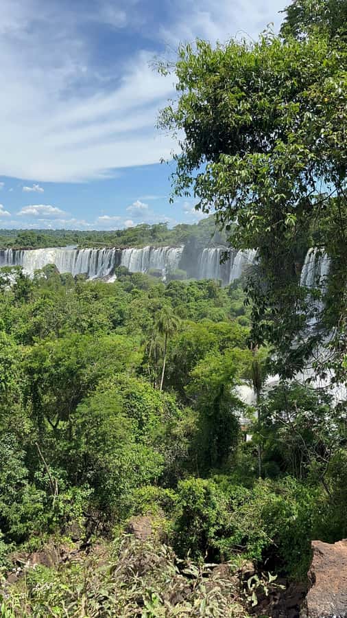 Iguassu Falls: Private Tour Argentina side - Walking the Upper Circuit for wider views