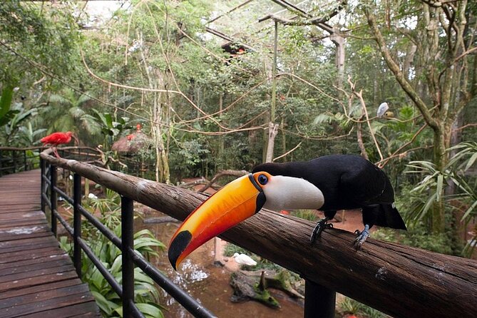 Iguassu Falls Private Tours - Comfort, pace, and group size