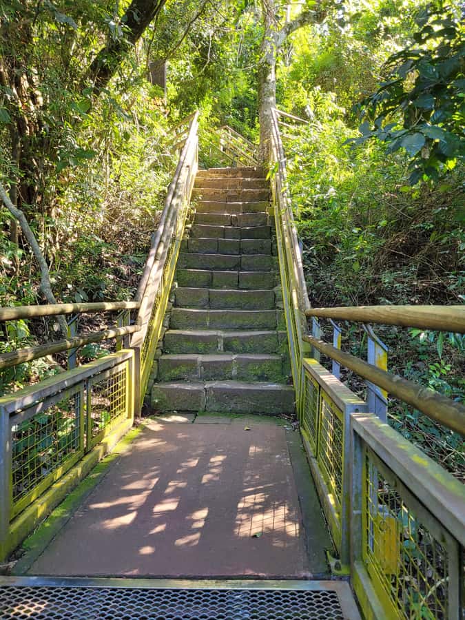 Iguassu Waterfalls Private Day Tour: Both sides, same day! - Macuco Safari: the optional soaking