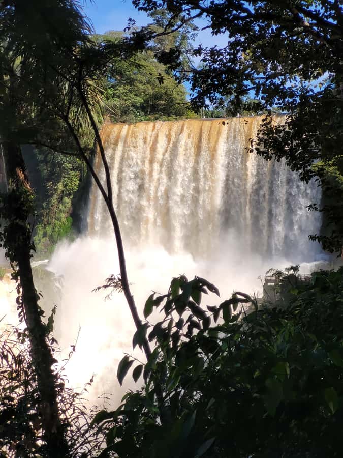 Iguassu Waterfalls Private Day Tour: Both sides, same day! - What the private format is worth