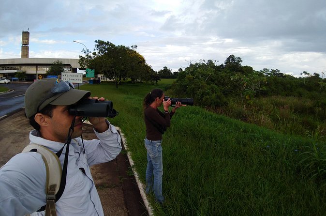 Iguazu Expeditions Morning Birdwatching - A guide who can teach, target, and adjust