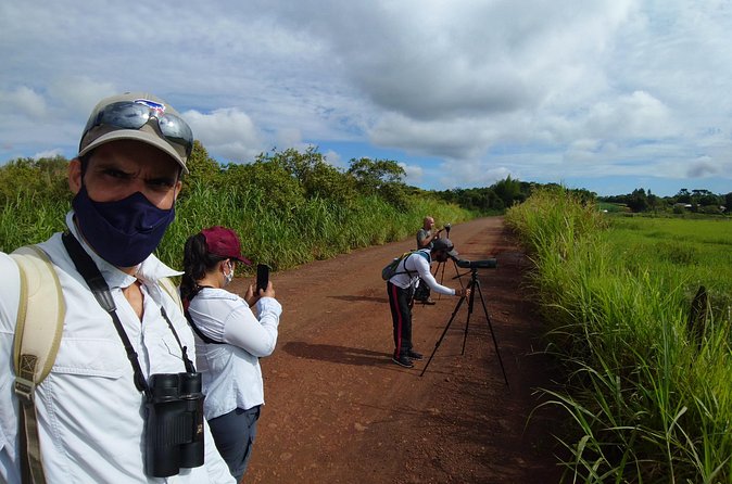 Iguazu Expeditions Morning Birdwatching - Four to six hours, with an early start