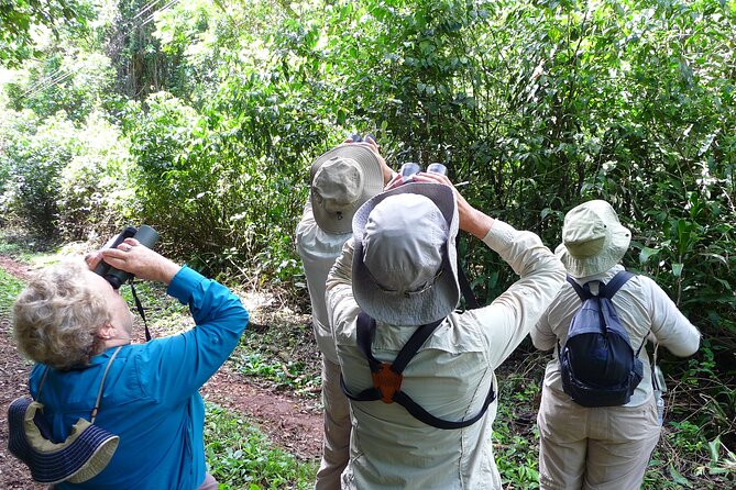 Iguazu Expeditions Morning Birdwatching - Who will get the most from this experience