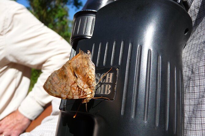 Iguazu Expeditions Morning Birdwatching - Practical things to settle before you go