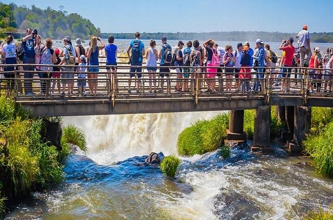 Iguazu Falls: Argentina and Brazil on the Same Day All Included - The Brazilian side and the tour’s biggest ambiguity