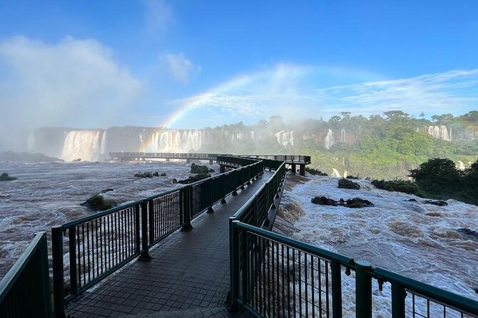 Iguazu Falls: Private Half-Day Tour Brasilian side - Wildlife in the Atlantic forest setting