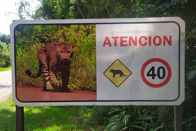 Iguazu Falls Private Tour: Two Countries in One Day - Helisul: twenty minutes above both sides