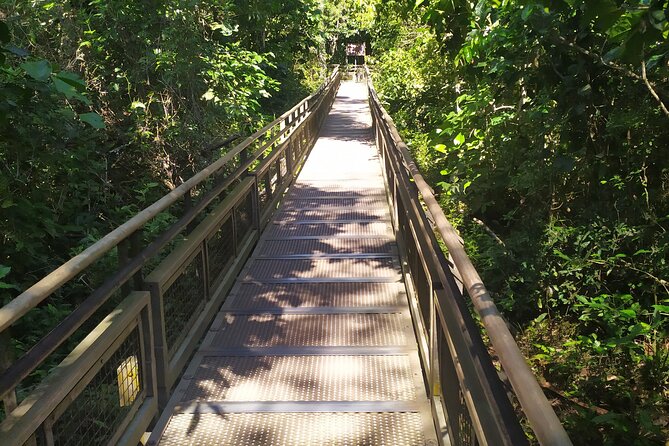 Iguazu Falls Private Tour: Two Countries in One Day - Transfers and border support