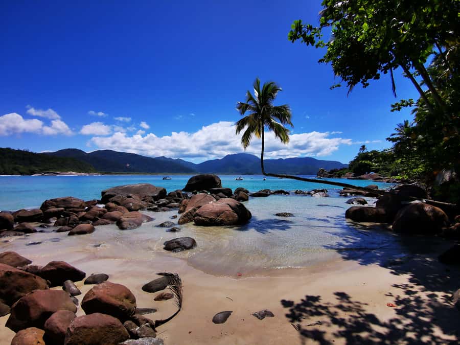 Ilha Grande: 360° Circumnavigation Speed Boat Tour - 8h - Why this 360-degree boat trip is worth considering