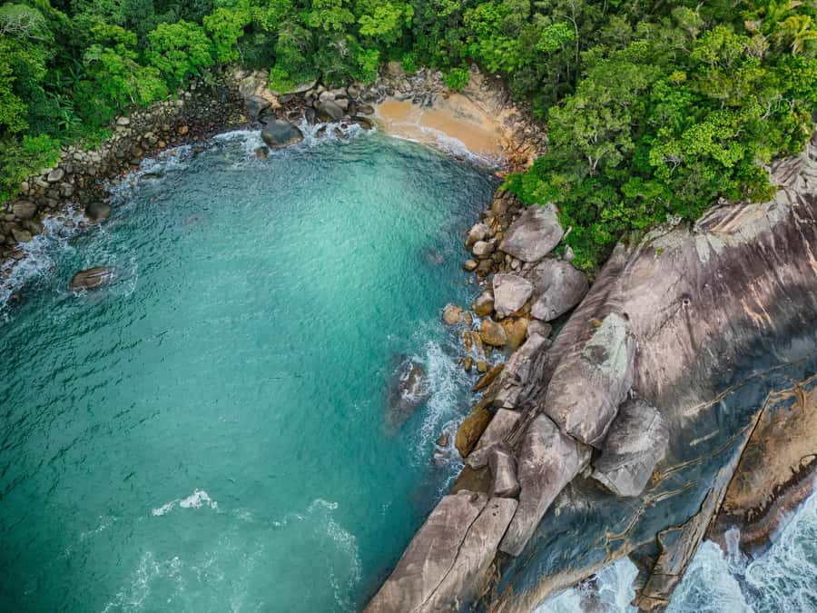 Ilha Grande: 360° Circumnavigation Speed Boat Tour - 8h - Aventureiro and the famous coconut tree