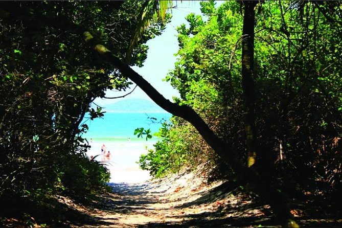 Ilha Grande - From Abrãao: Lopes Mendes beach tour & trekking - The trek from Pouso to Lopes Mendes