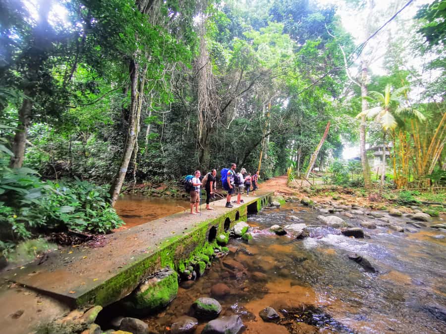 Ilha Grande: Private Hiking with Forest, Beaches & Waterfall - The four details that shape the day