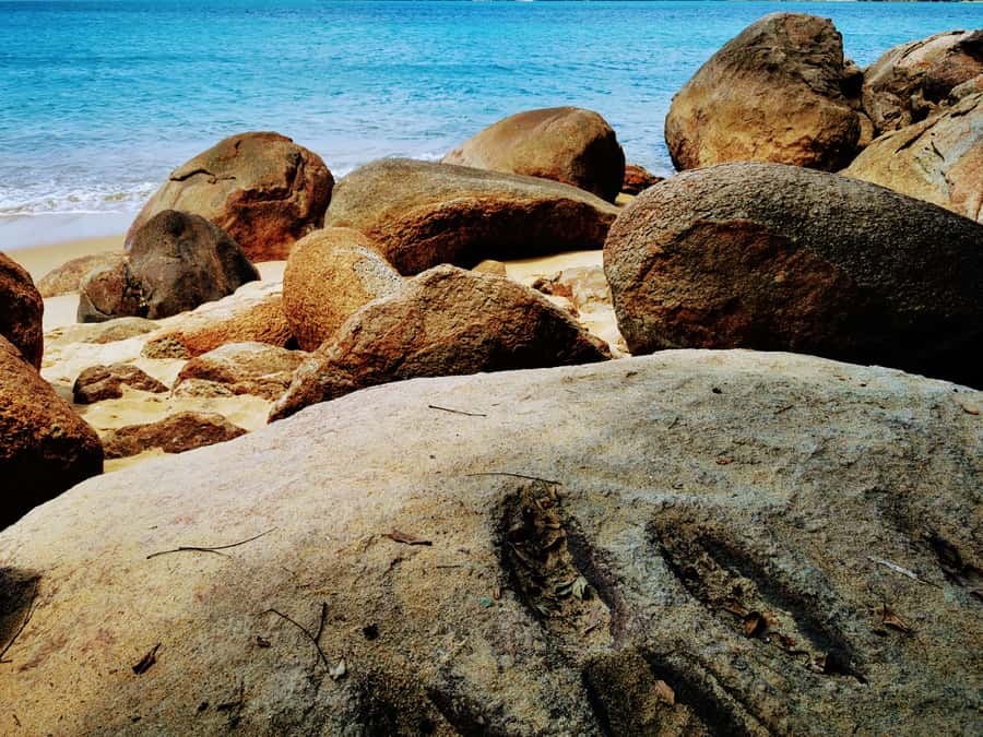 Ilha Grande: Private Historic Walking Tour with Natural Pool - What the $156 Price Buys You
