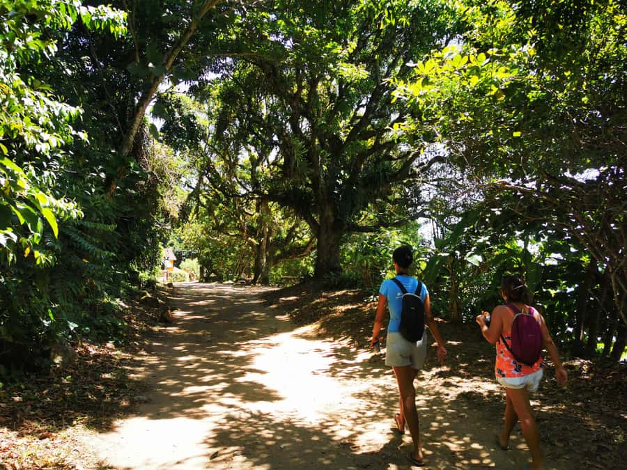 Ilha Grande: Private Historic Walking Tour with Natural Pool - Who Will Enjoy This Private Ilha Grande Walk