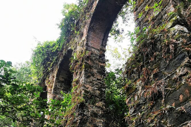 Ilha Grande - Private Historical Walking Tour with Natural Pool. - Lazareto’s ruins bring difficult history into view