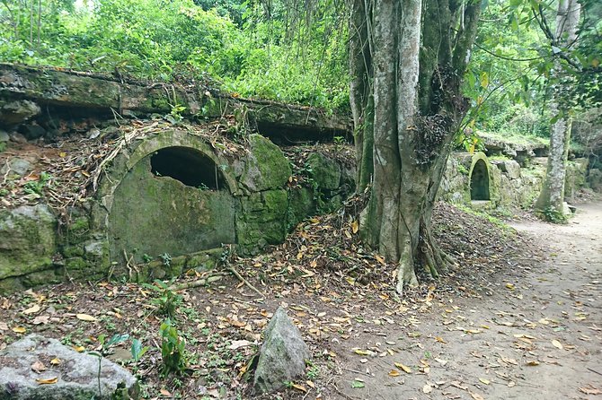 Ilha Grande - Private Historical Walking Tour with Natural Pool. - Poção do Abraão Waterfall finishes with a cold natural pool