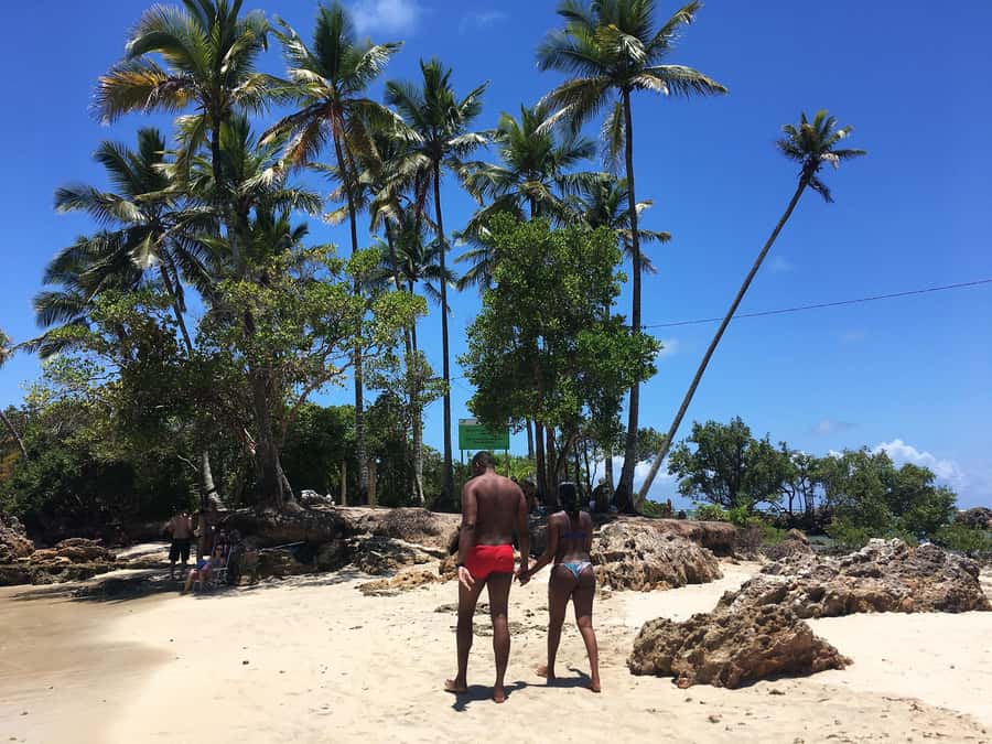 Island Day Trip to Morro de São Paulo - Should you book the Morro de São Paulo day trip?