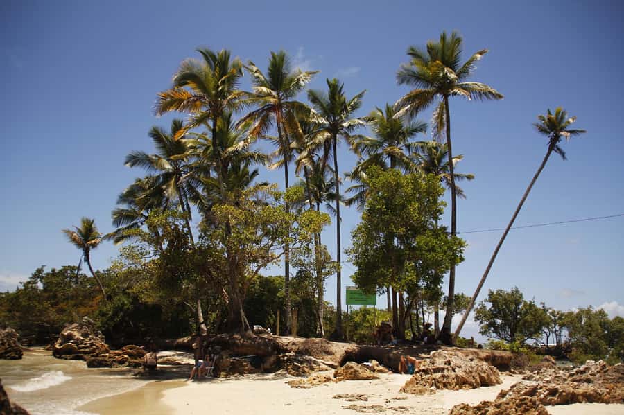 Island Day Trip to Morro de São Paulo - Booking details that affect your plans