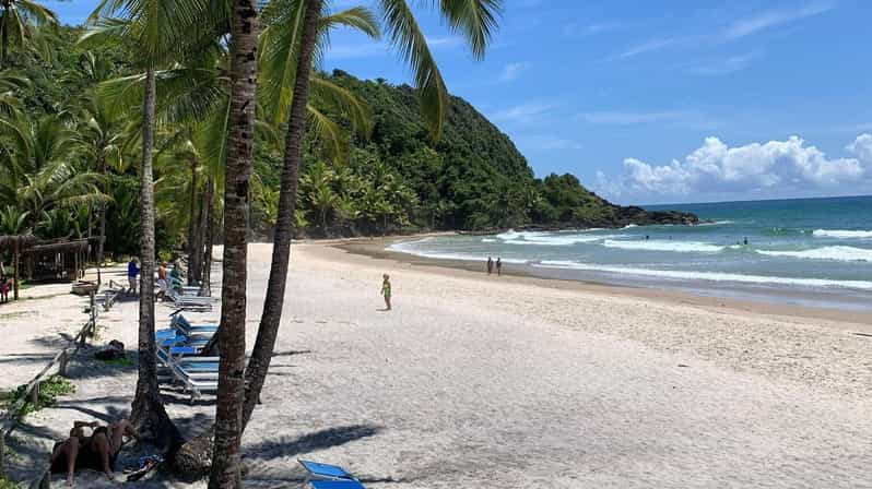 Itacare: 4 Beaches Trail and Tijuipe Waterfall - Camboinha and the Rocky Path to Havaizinho