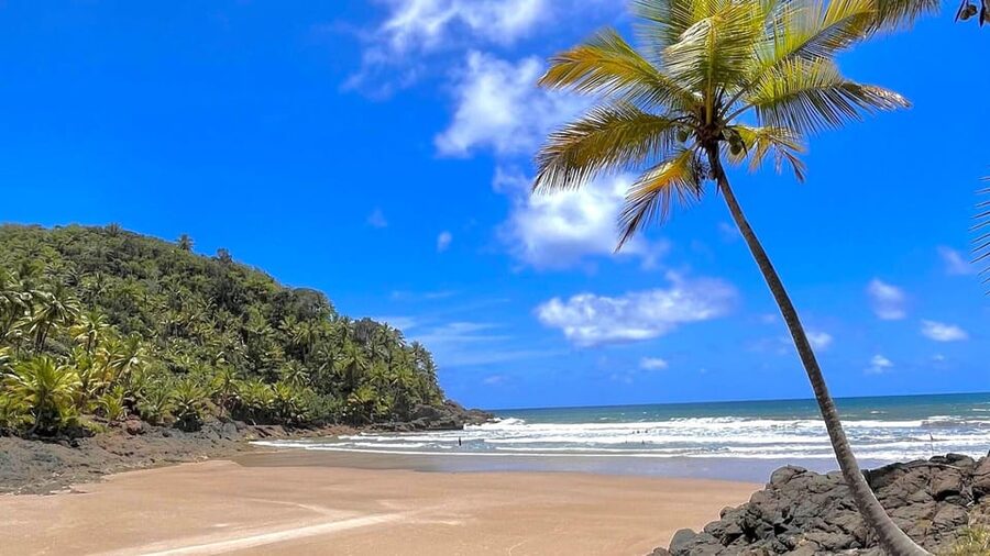 Itacare: 4 Beaches Trail and Tijuipe Waterfall - Who Will Enjoy This Tour Most