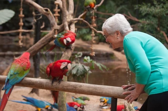 Itaipu Dam & Bird Park & Iguassu Falls Brazilian Side - Private Tour - What the $185 price really covers