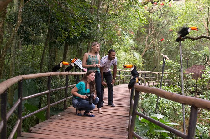 Itaipu Dam & Bird Park & Iguassu Falls Brazilian Side - Private Tour - Who will get the most from this private day
