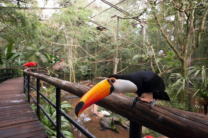 Itaipu Dam & Bird Park & Iguassu Falls Brazilian Side - Private Tour - Practical tips for a smoother day