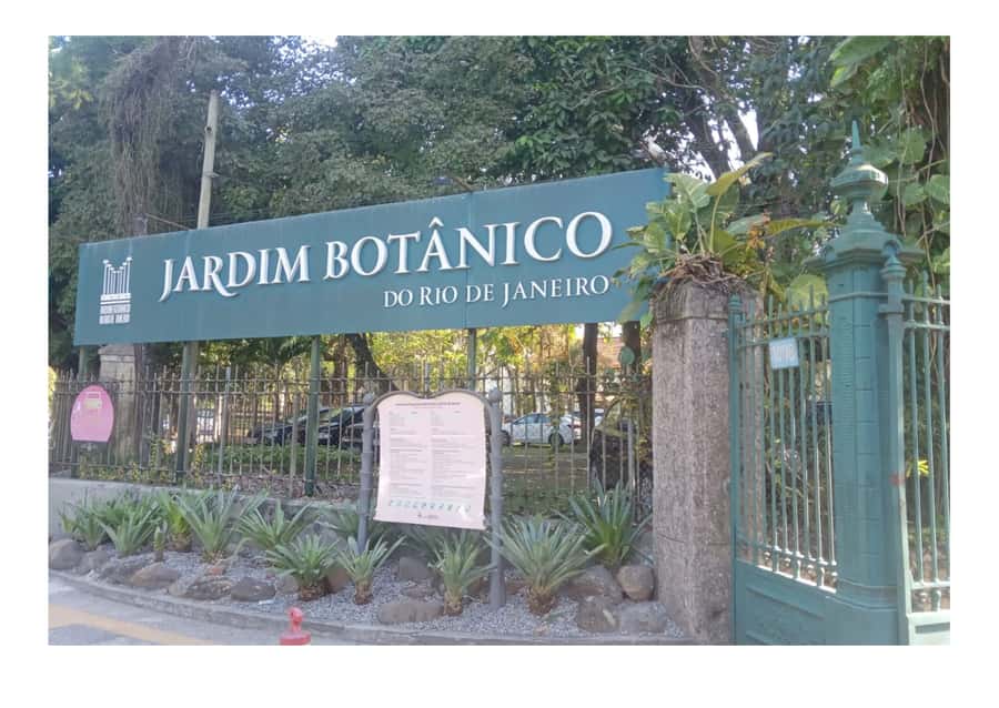 Jardim Botânico do Rio de Janeiro - Walking beneath the imperial palms