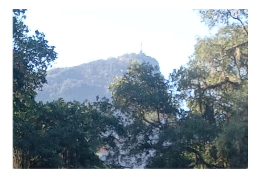 Jardim Botânico do Rio de Janeiro - Clothes, camera, and insect protection