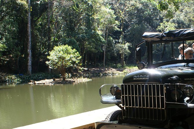 Jeep Adventure: Guided Tour through Tijuca Rain Forest - From Rio’s streets into Atlantic Forest