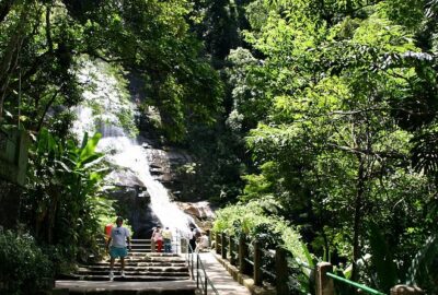 Jeep Adventure: Guided Tour through Tijuca Rain Forest