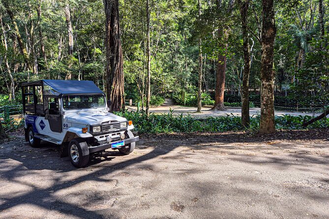 Jeep'n'Culture: Rocinha Favela and Tijuca Rainforest Tour - Why this tour works as a Rio introduction