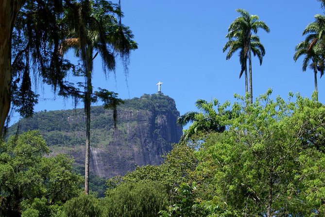 Jeep'n'Green: Rio Botanical Garden and Tijuca Rainforest Tour - Two very different kinds of green