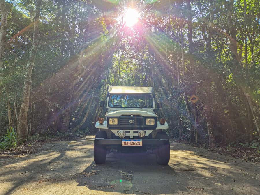 Jeep'n'Green: Rio Botanical Garden & Tijuca Rainforest Tour - Riding through Tijuca Atlantic Forest
