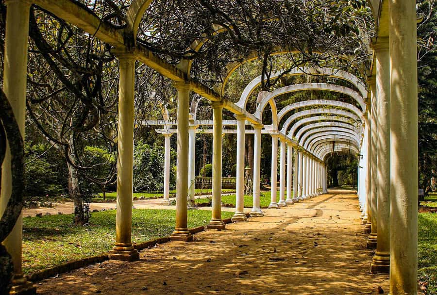 Jeep'n'Green: Rio Botanical Garden & Tijuca Rainforest Tour - Emperor’s Table and Mayrink Chapel