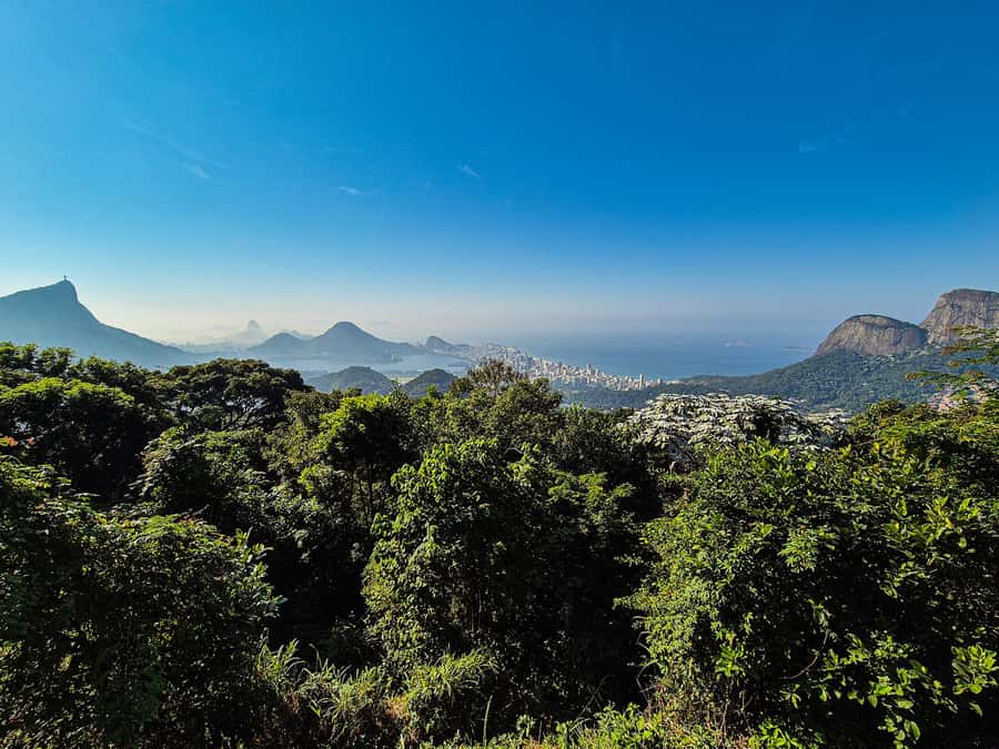 Jeep'n'Green: Rio Botanical Garden & Tijuca Rainforest Tour - Vista Chinesa and the best city panorama