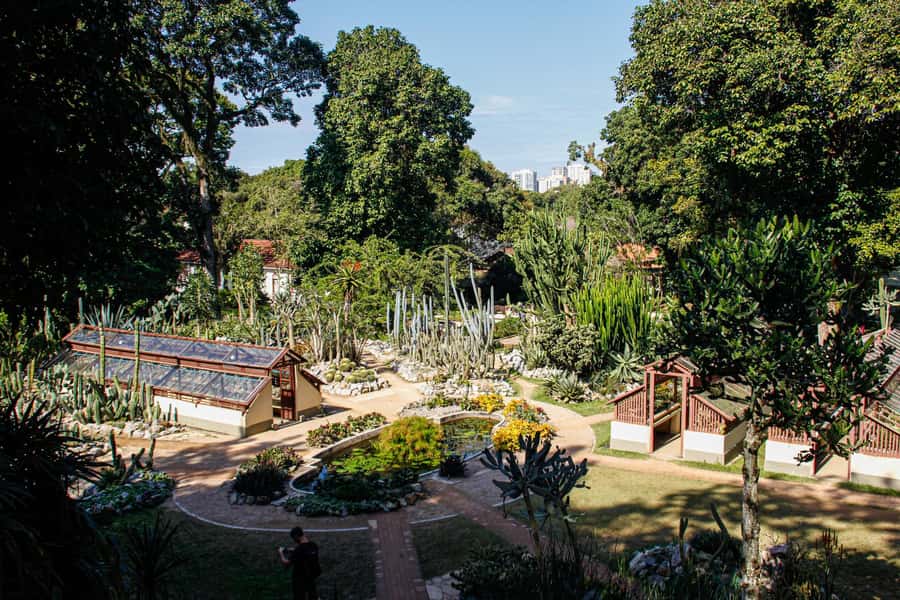Jeep'n'Green: Rio Botanical Garden & Tijuca Rainforest Tour - What the $95 price includes