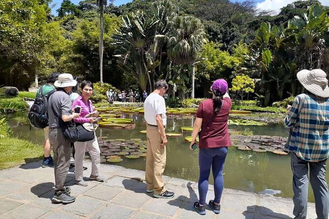 Jeep Tour Botanic Garden and Tijuca Rainforest - The Big View at Vista Chinesa