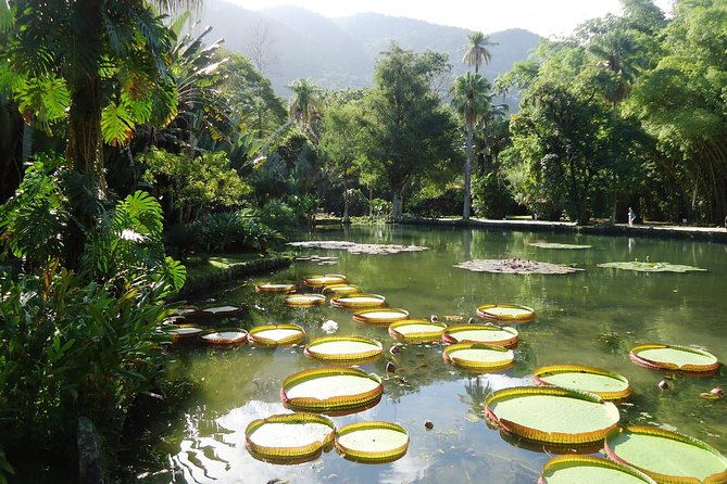 Jeep Tour Botanic Garden and Tijuca Rainforest - Hang Gliders at Pepino Beach