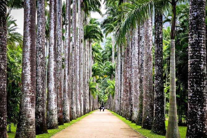Jeep Tour Botanic Garden and Tijuca Rainforest - Guides Make the Difference