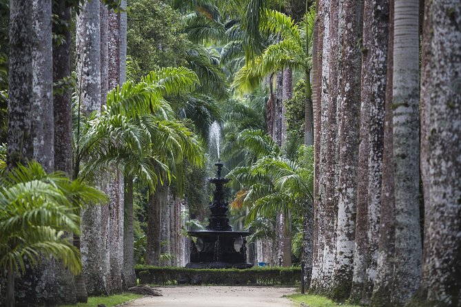 Jeep Tour Botanic Garden and Tijuca Rainforest - One Hour Among the Plants at the Botanical Garden