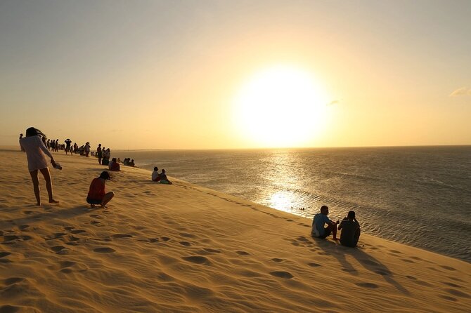 Jericoacoara Premium Full Day Tour - Arvore da Preguiça shows Ceará’s wind at work