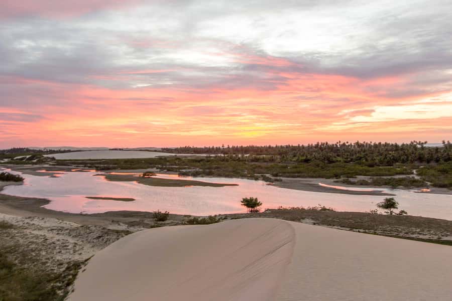 Jericoacoara: Tatajuba Beach Tour - A 9 a.m. start from Jericoacoara